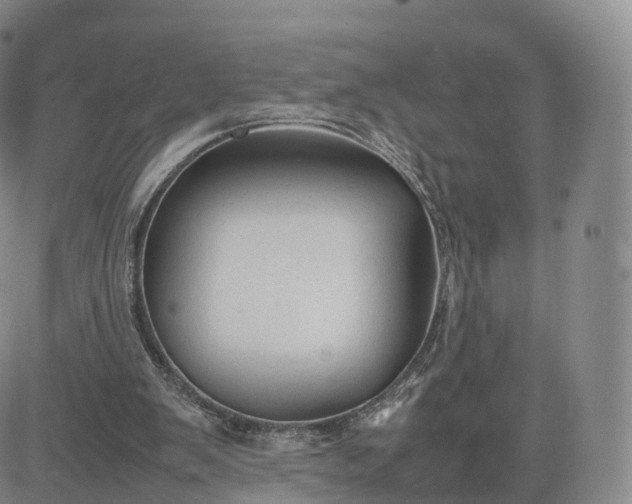 X0000083600103200702231756