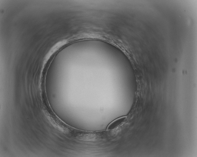 X0000083600104200702231756