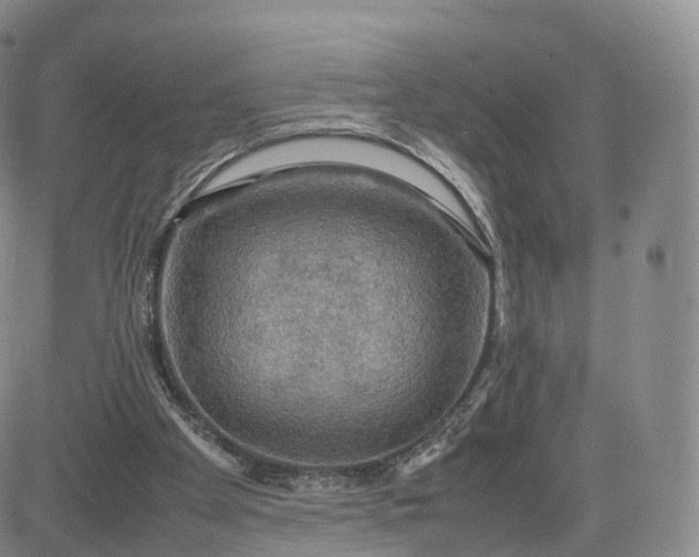 X0000083600105200702231756