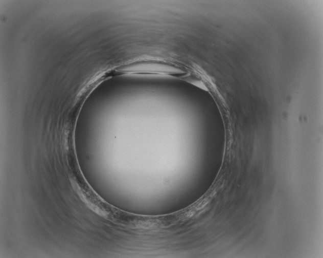 X0000083600106200702231756