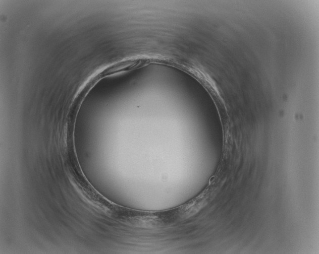 X0000083600108200702231756