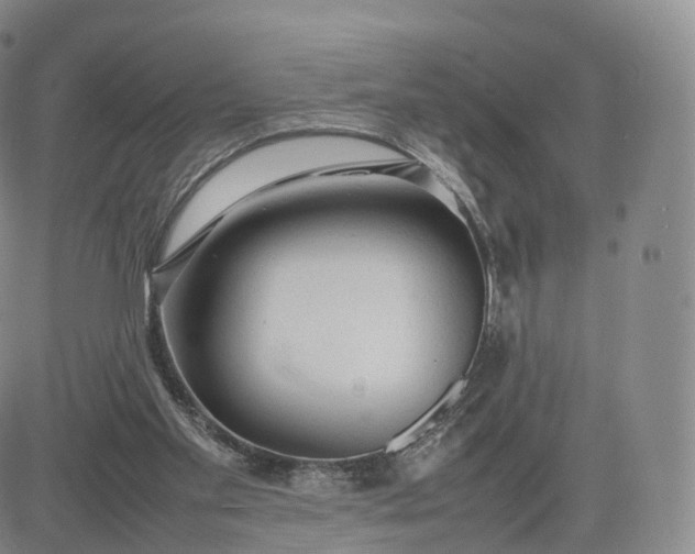 X0000083600109200702231756