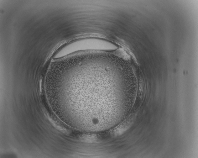 X0000083600110200702231756