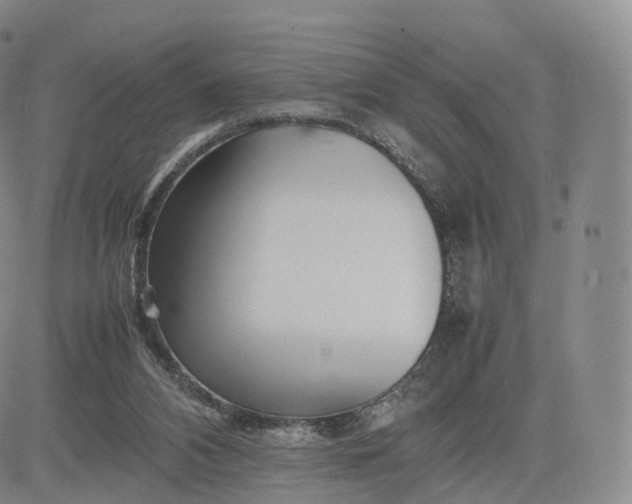 X0000083600112200702231756