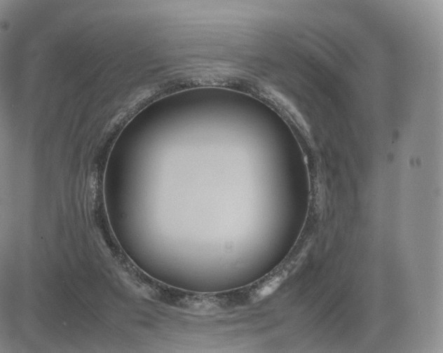 X0000083600113200702231756