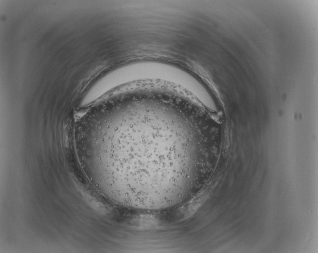 X0000083600114200702231756