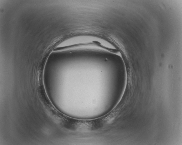 X0000083600115200702231756