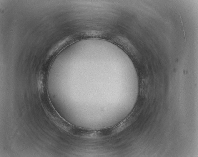 X0000083600116200702231756