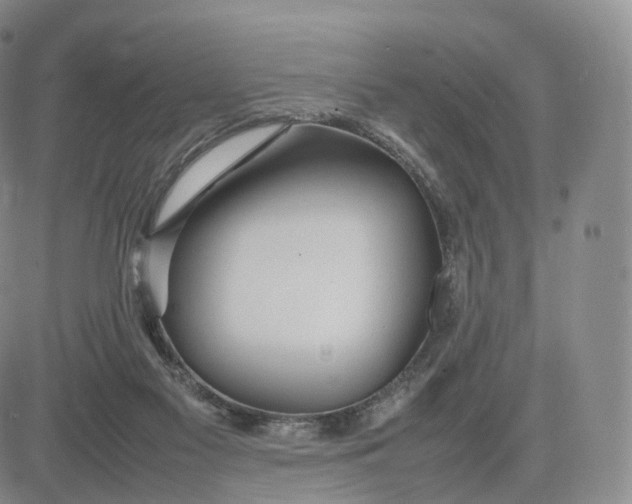 X0000083600117200702231756