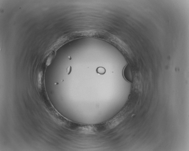 X0000083600118200702231756