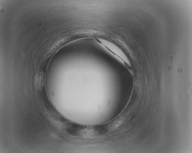 X0000083600119200702231756