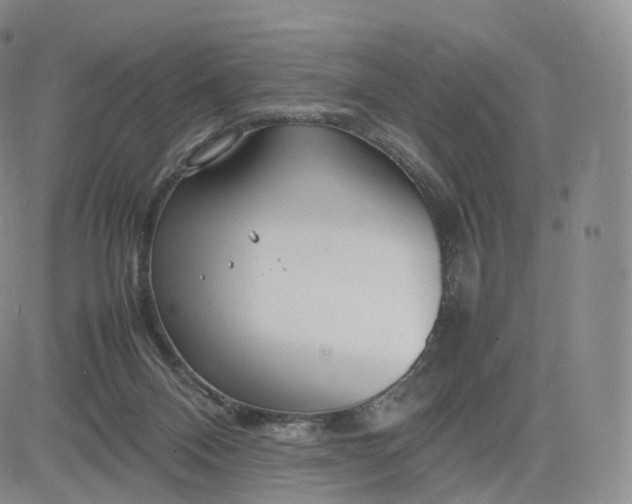 X0000083600120200702231756