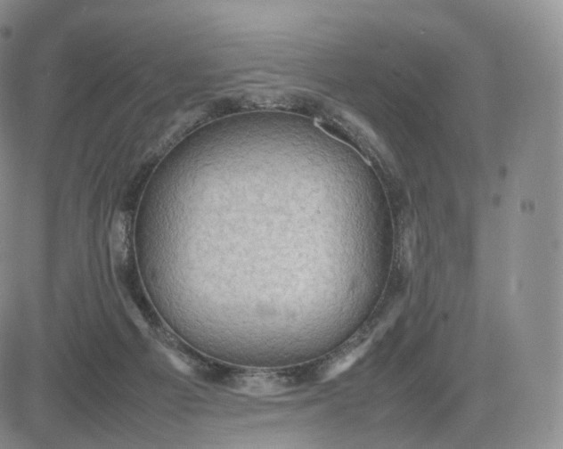 X0000083600121200702231756