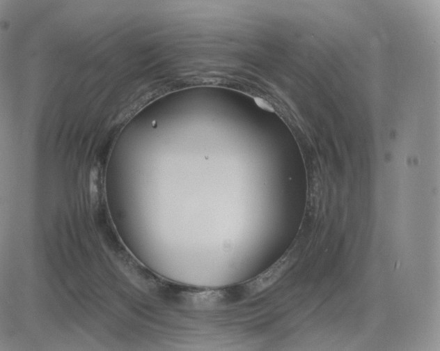 X0000083600122200702231756