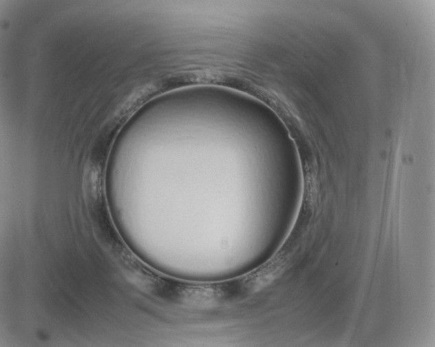 X0000083600123200702231756