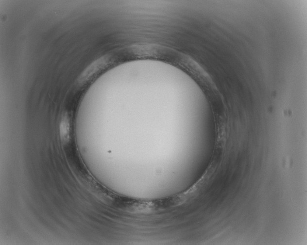 X0000083600124200702231756