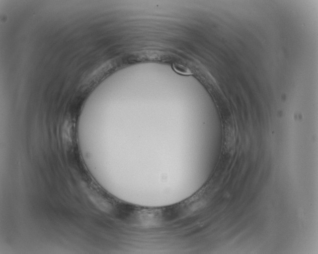 X0000083600126200702231756