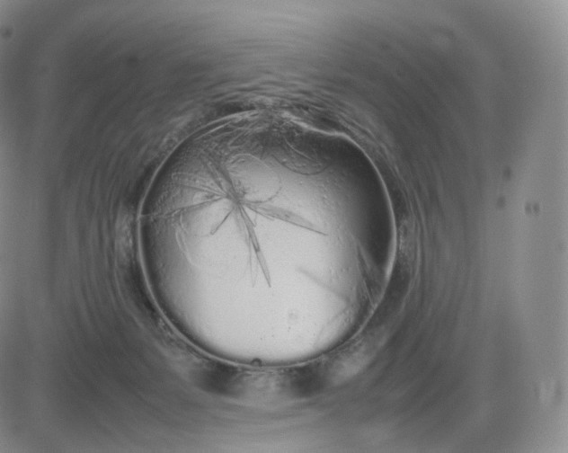 X0000083600127200702231756