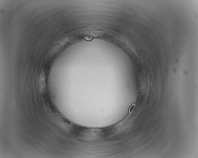 X0000083600128200702231756