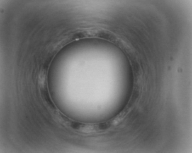 X0000083600129200702231756