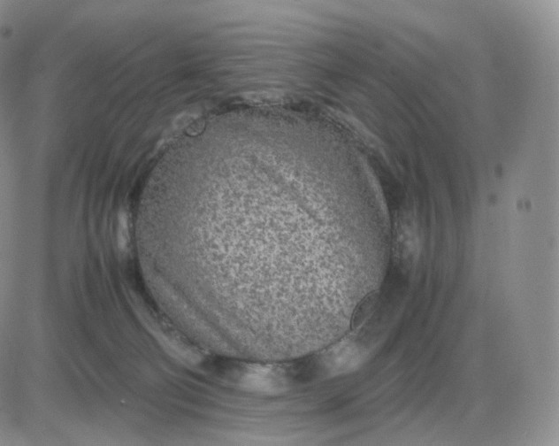 X0000083600130200702231756