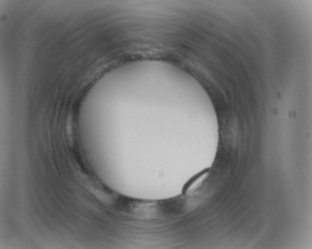 X0000083600132200702231756