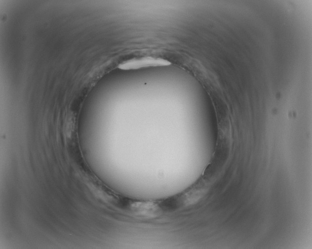 X0000083600133200702231756