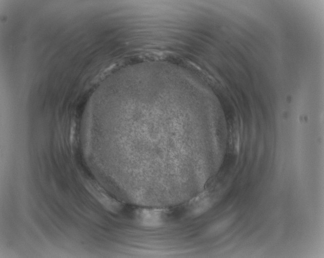 X0000083600134200702231756