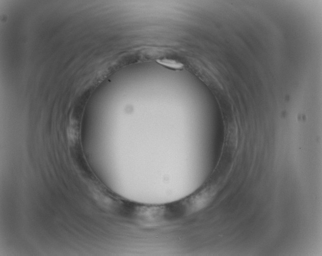 X0000083600135200702231756