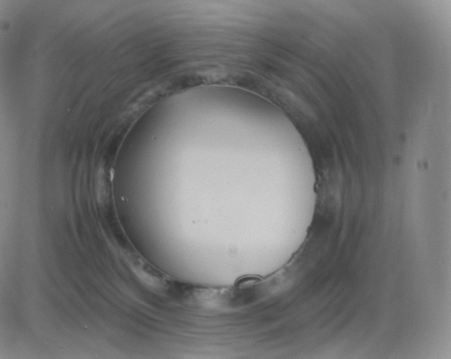 X0000083600136200702231756