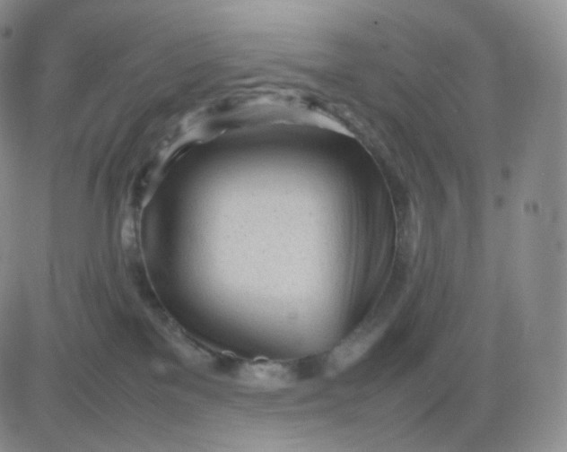 X0000083600137200702231756