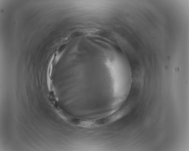 X0000083600139200702231756