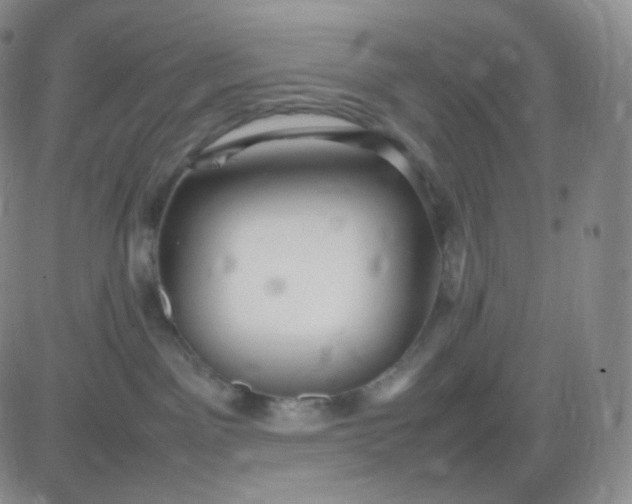 X0000083600141200702231756