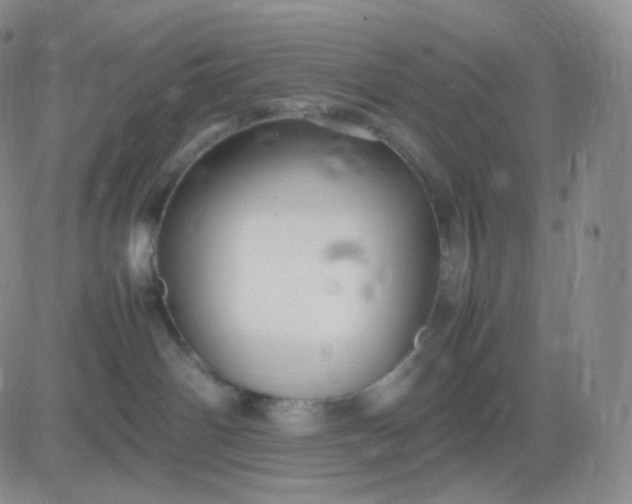 X0000083600142200702231756