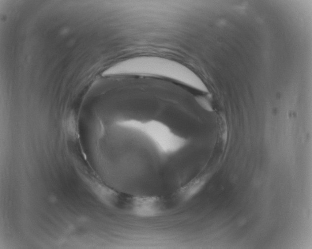 X0000083600143200702231756