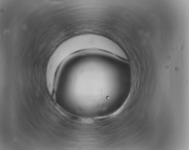 X0000083600144200702231756