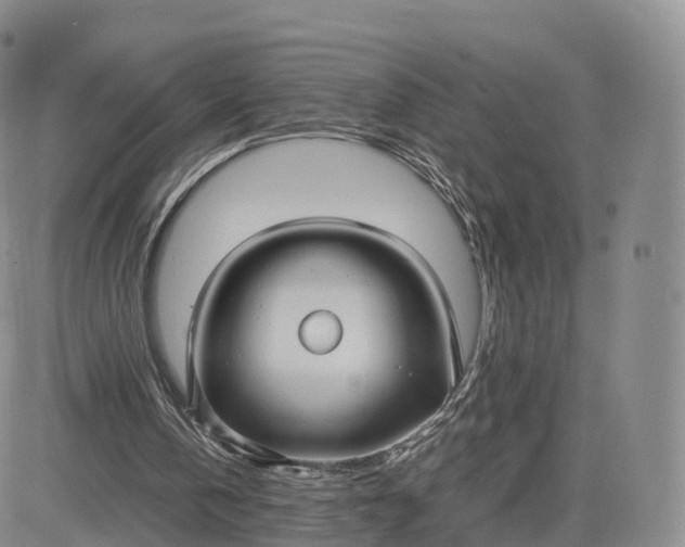 X0000083600146200702231755