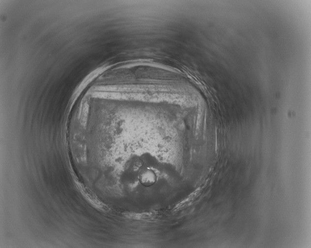 X0000083600147200702231755