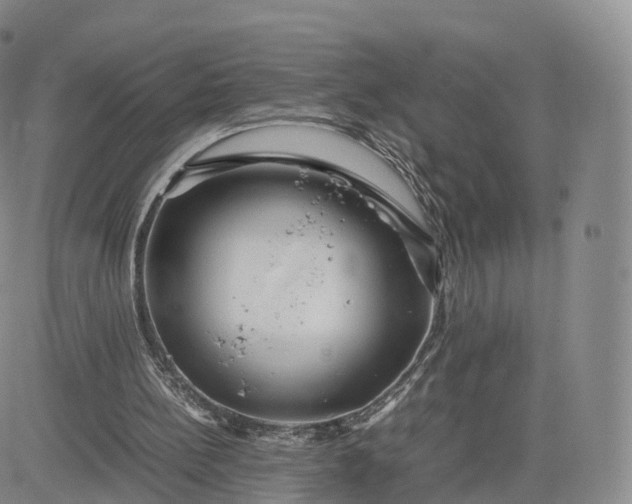 X0000083600148200702231755