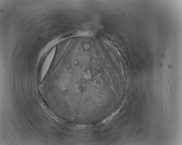 X0000083600149200702231755