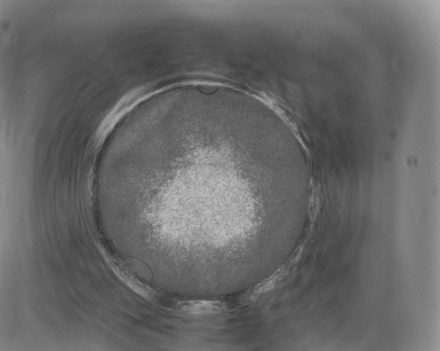 X0000083600151200702231755