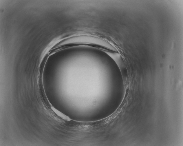 X0000083600152200702231755