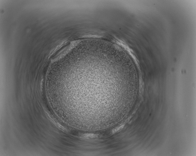 X0000083600153200702231755