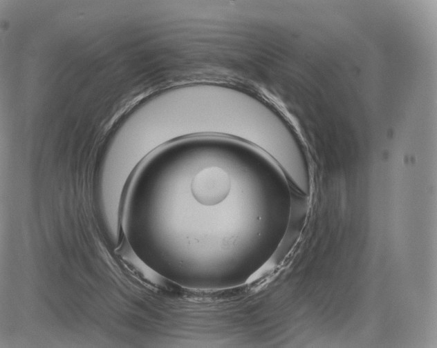 X0000083600154200702231755