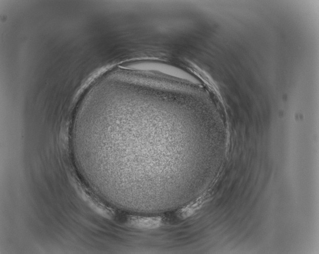 X0000083600155200702231755