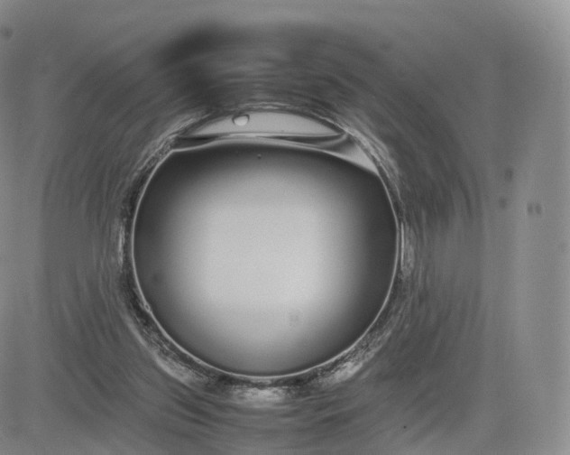 X0000083600157200702231755