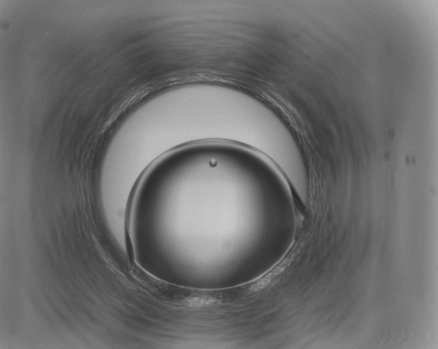 X0000083600158200702231755