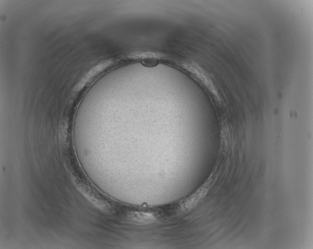 X0000083600159200702231755