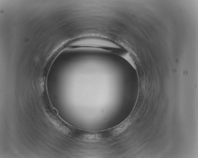 X0000083600160200702231755