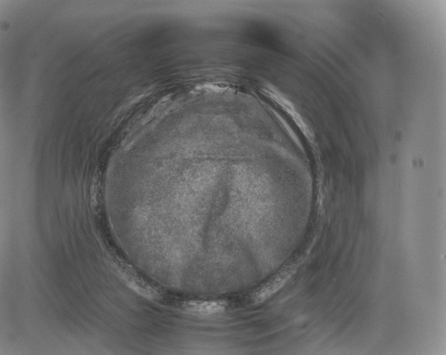 X0000083600161200702231755